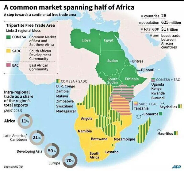wef's tweet image. This is the crucial next step in #Africa's regional integration @calestous wef.ch/1U3vRLX