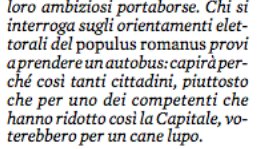giorgiomeletti's tweet photo. La mia dichiarazione di voto per il cane lupo, senza offesa per la Raggi. Oggi sul @fattoquotidiano https://t.co/cNcrSqLEpS