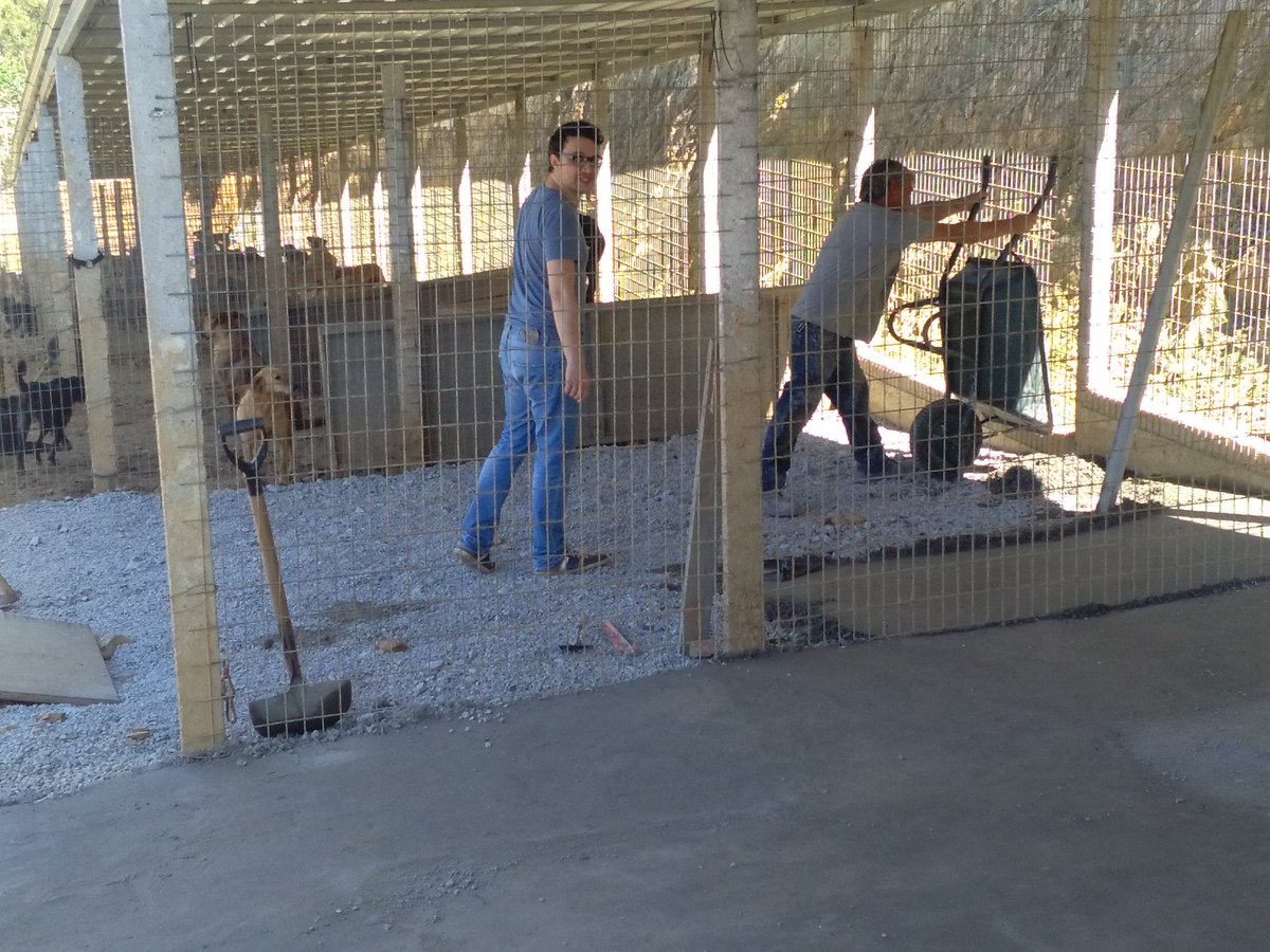 StichtingLIMEL's tweet photo. New concrete floor in Canedo (Portugal) by Dierenhulp Zonder Grenzen! https://t.co/JfzARYmkPb