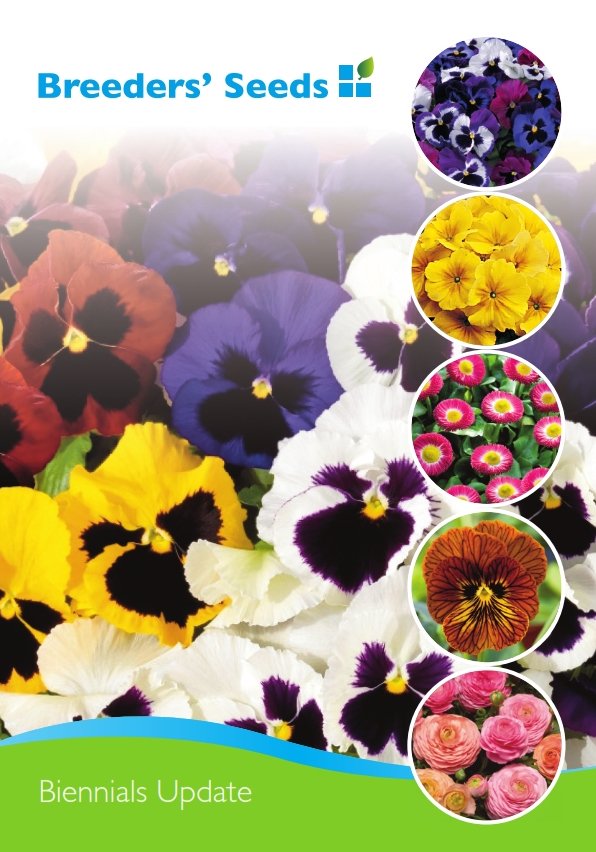 BreedersSeeds's tweet photo. Breeders Seeds #biennial update! #seeds #flowers #viola #pansy #primula #bellis #ranunculus https://t.co/xAfwyackvi