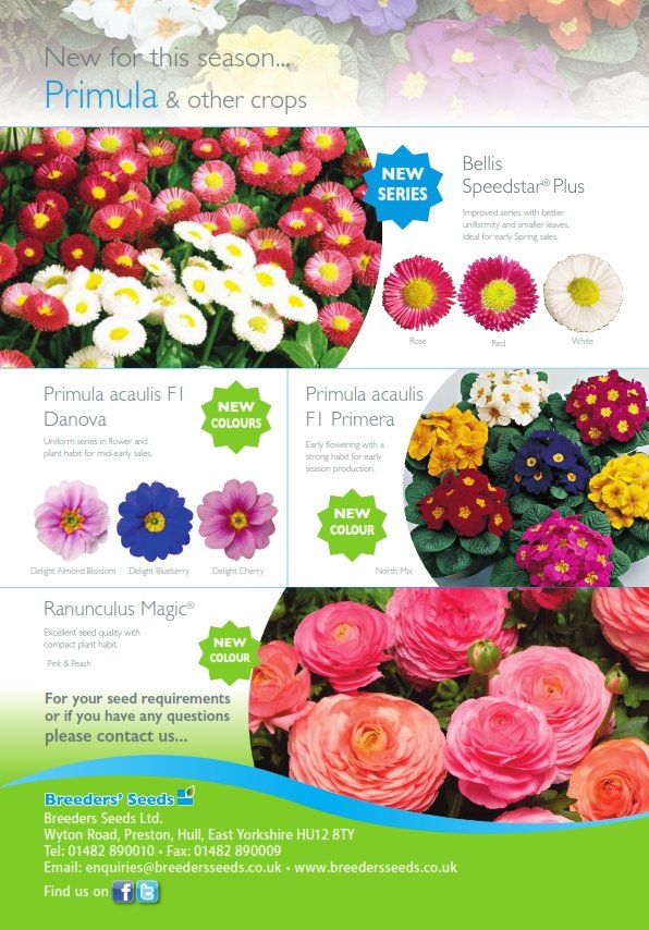 BreedersSeeds's tweet photo. Breeders Seeds #biennial update! #seeds #flowers #viola #pansy #primula #bellis #ranunculus https://t.co/xAfwyackvi