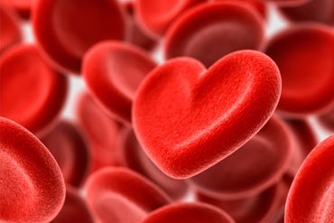 Happy World Blood Donor Day!
Janice, Virginia &amp; Nicky