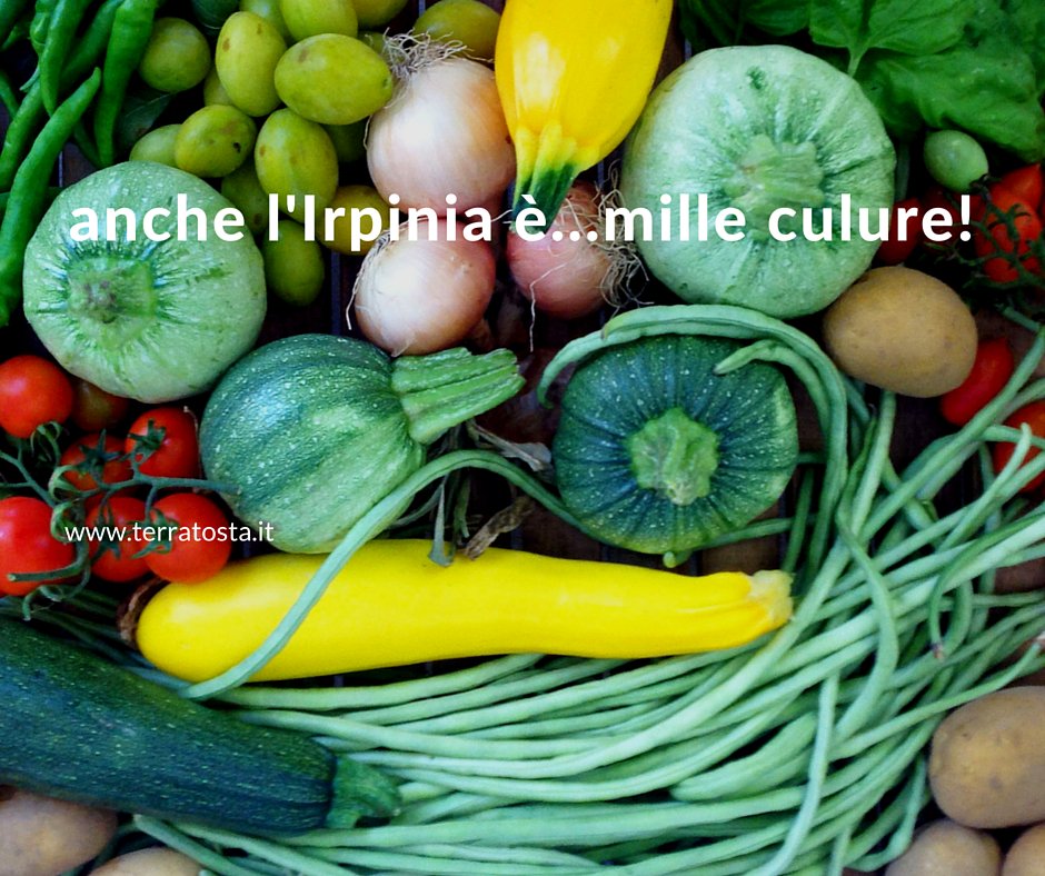 gli ortaggi in #irpinia si colorano ... d'estate! scopri questa terra unica dal #sapore speciale ... #cibogenuino
