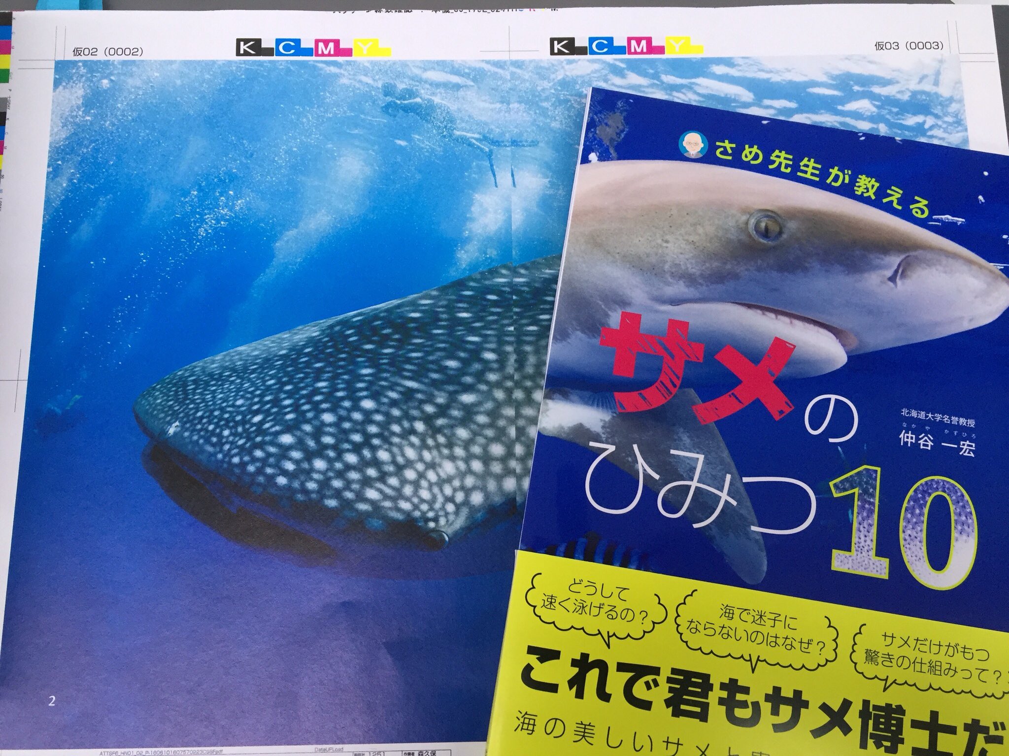 ブックマン社の生物係 サメの本 なんともう一冊出ちゃいます こちらは サメ 海の王者たち の仲谷先生が サメ 好きっ子のために書き下ろした 子供向け本格サメ解説書 わかりやすくて面白いうえ 貴重な資料や泳ぐ美しいサメたちも満載 夏休みの自由