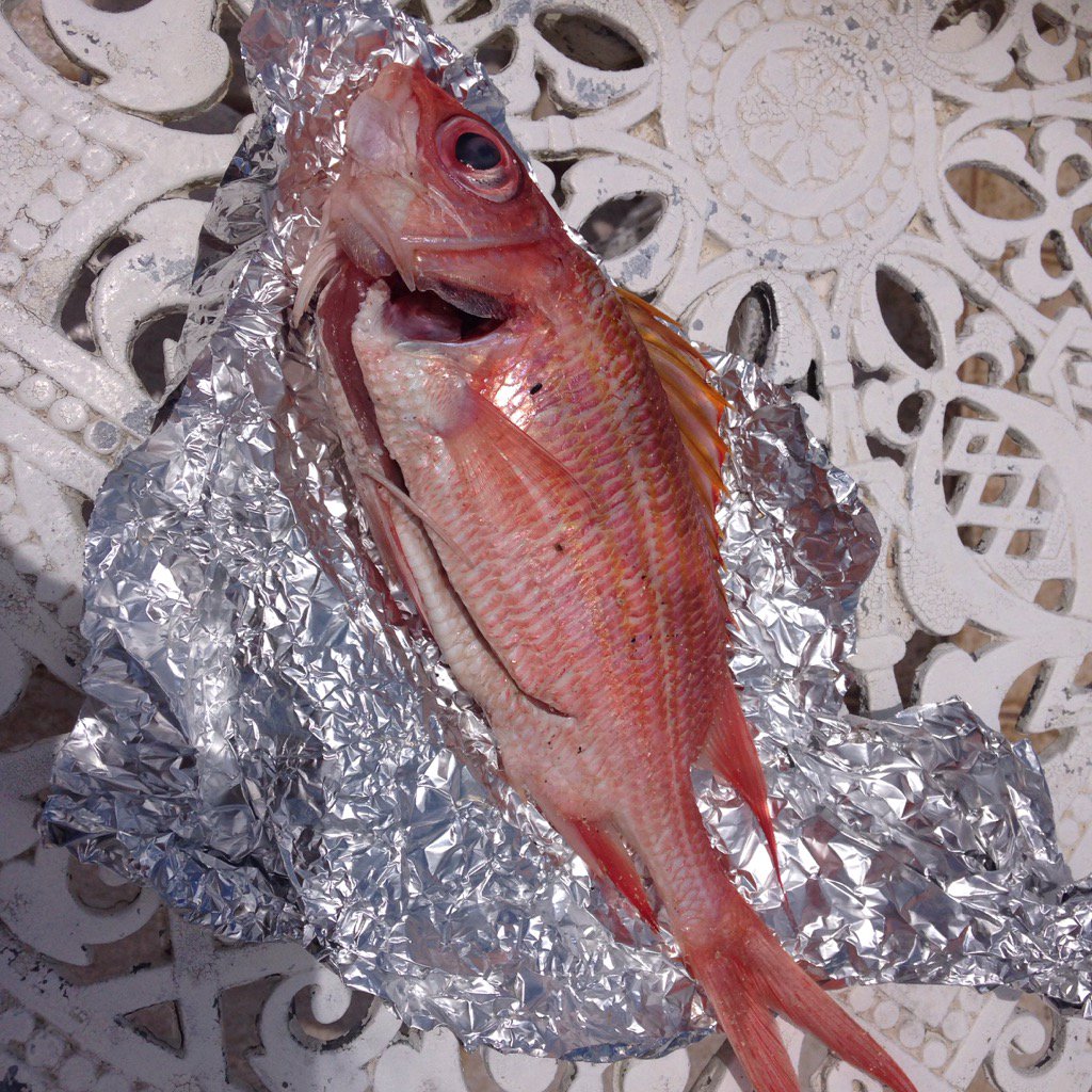 abbyraymarine's tweet image. These squirrel fish may be considered nothing special by the locals, but still made a tasty snack by my standards
