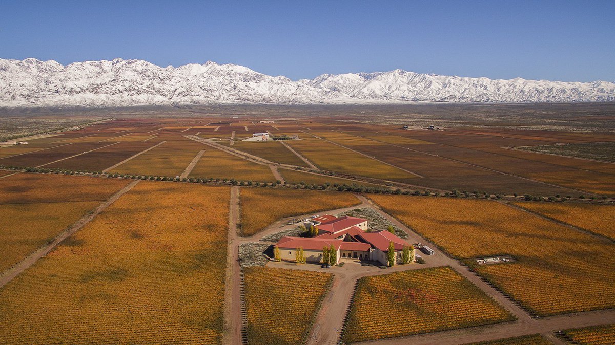 closdelossiete's tweet photo. Bodegas de Clos de los Siete, entre las más bellas de #ARG según el diario “Le Parisien” https://t.co/ePZydgVh2p https://t.co/hAzVRn6CmP