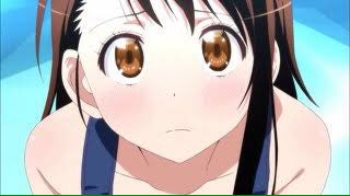 Lightnilovelive's tweet photo. #小野寺小咲生誕祭2016
#6月15日は小野寺小咲の誕生日 
#二セコイ
#RTした人全員フォローする
小野寺ちゃんの誕生日だよ！おめでとう✨🎉🎁🎊🎁🎉✨ https://t.co/taECmAuRZ0
