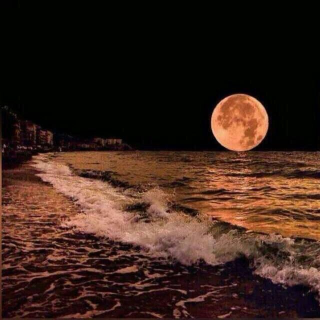 وبالاسحار هم يستغفرون 🌹

استغفر الله ✋
استغفر الله ✋
استغفر الله ✋