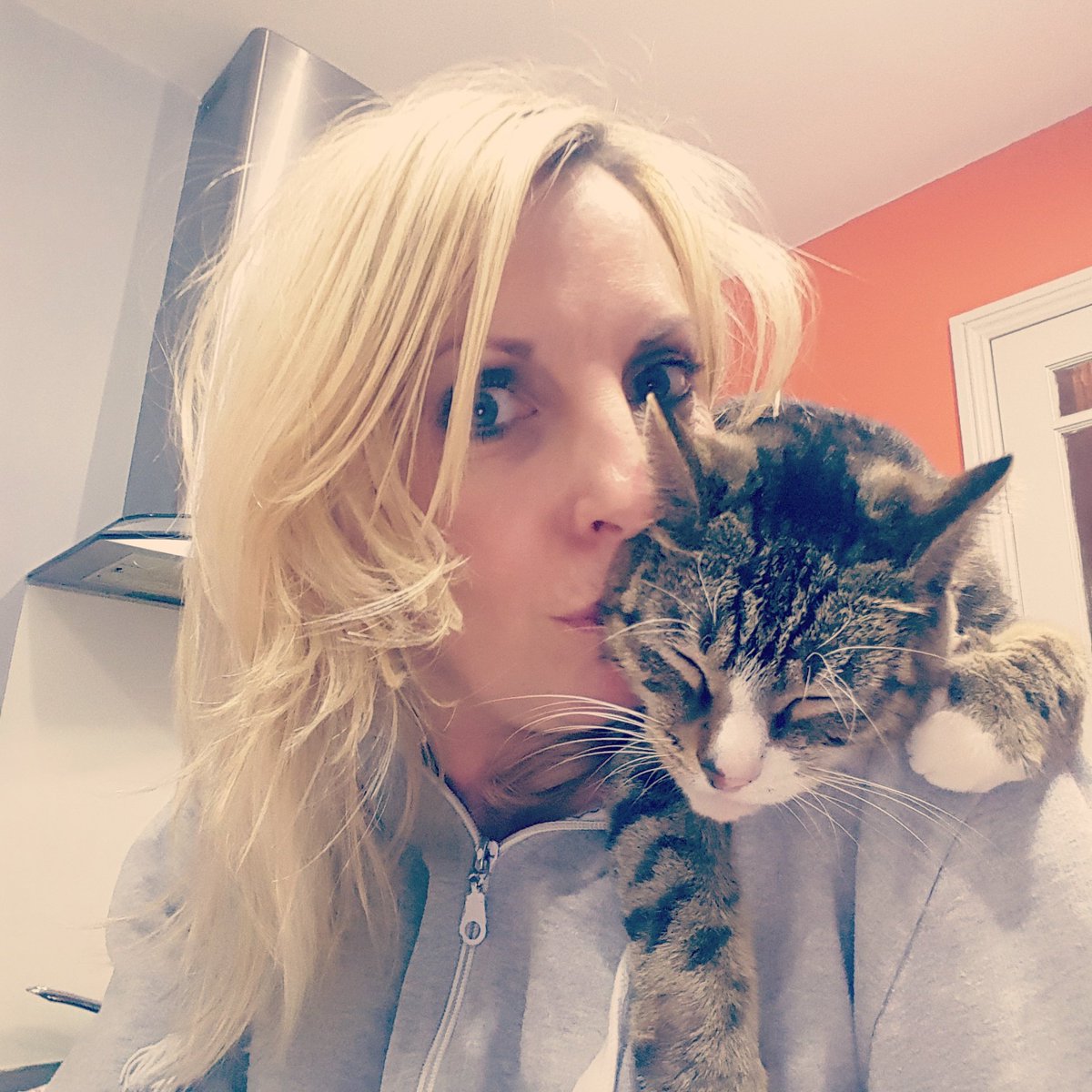 josyfen's tweet photo. @brianmoore1 #petpose my gorgeous tabby loves cuddles and always makes me feel happy https://t.co/Pki5vopM4Y