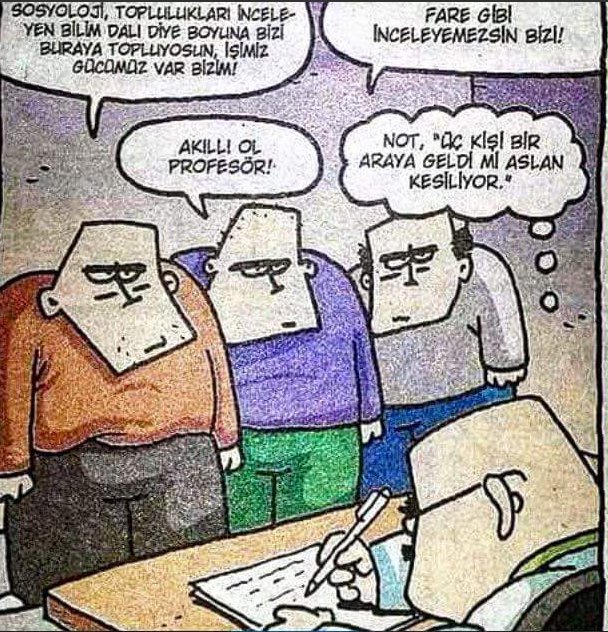 Sosyolojik gözlem  <a href="/femcomtr/">FEM</a>