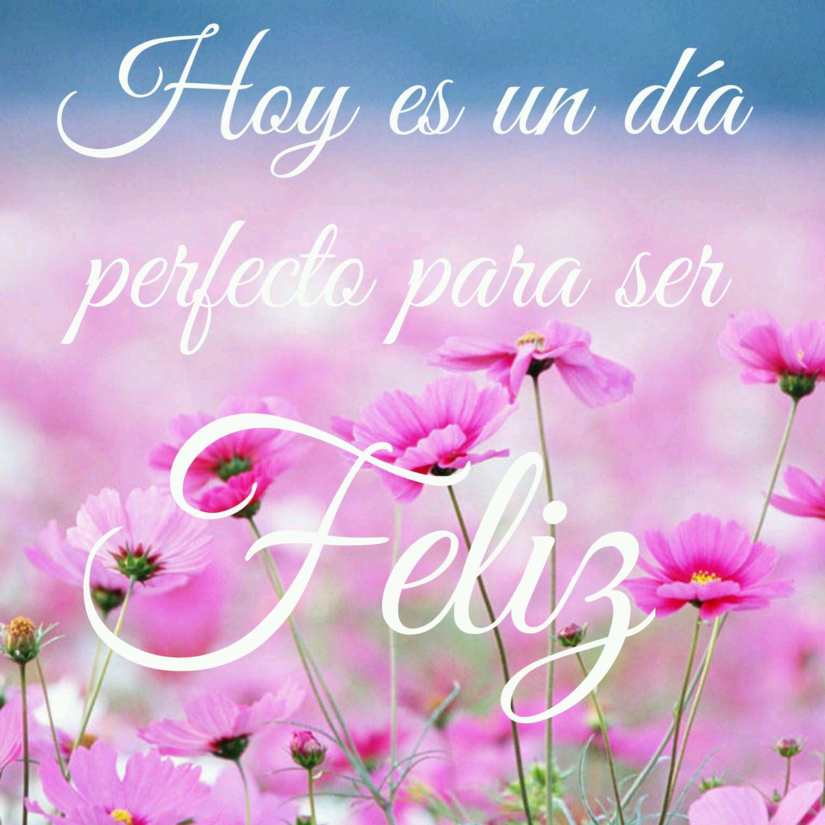 alMaxim_running's tweet photo. ¡Porque la vida es cuestión de actitud! #FelizMartes #SempreAlMaxim #SeFeliz https://t.co/jWC2RelhHd