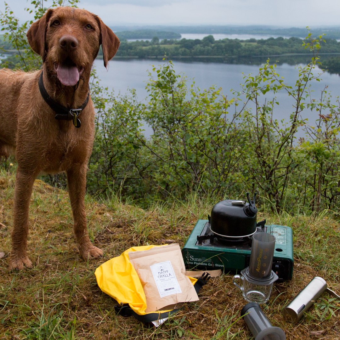 CoffeeBloc's tweet photo. Getting out and about with some @RightSideCoffee Ethiopian Nano Challa .....and Boris the wirehaired Viszla! https://t.co/wEqXg1PRbM
