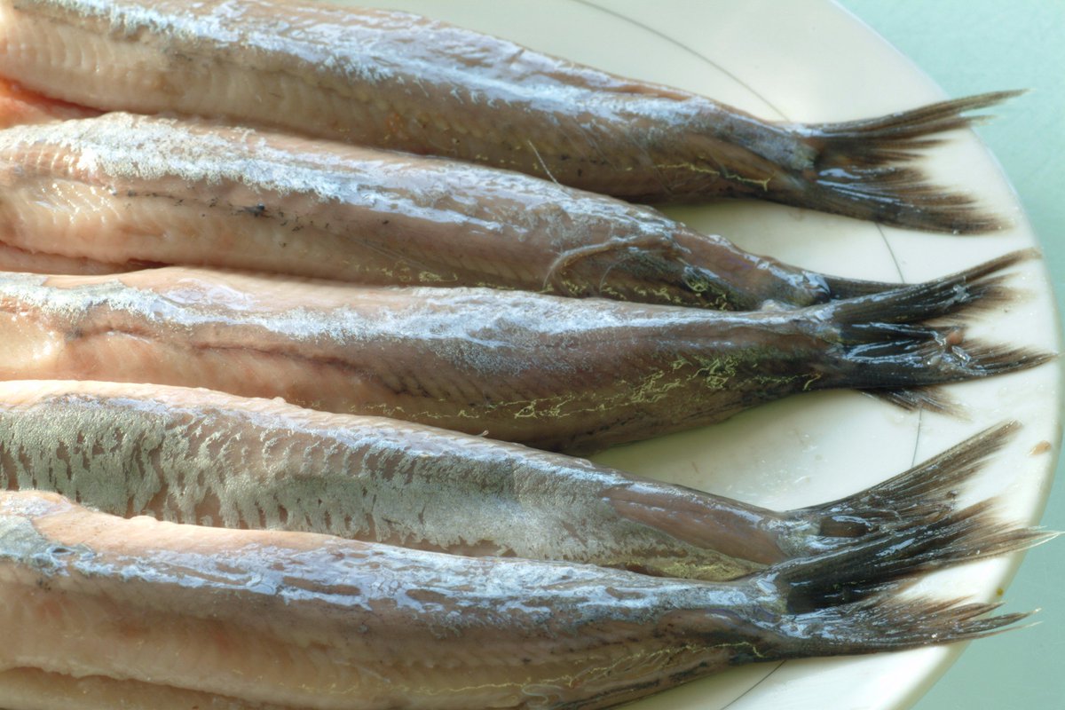 NIEUWE HARING vanaf morgen verkrijgbaar (15/6). Meer weten of bestellen? Bel naar 020-5829990.