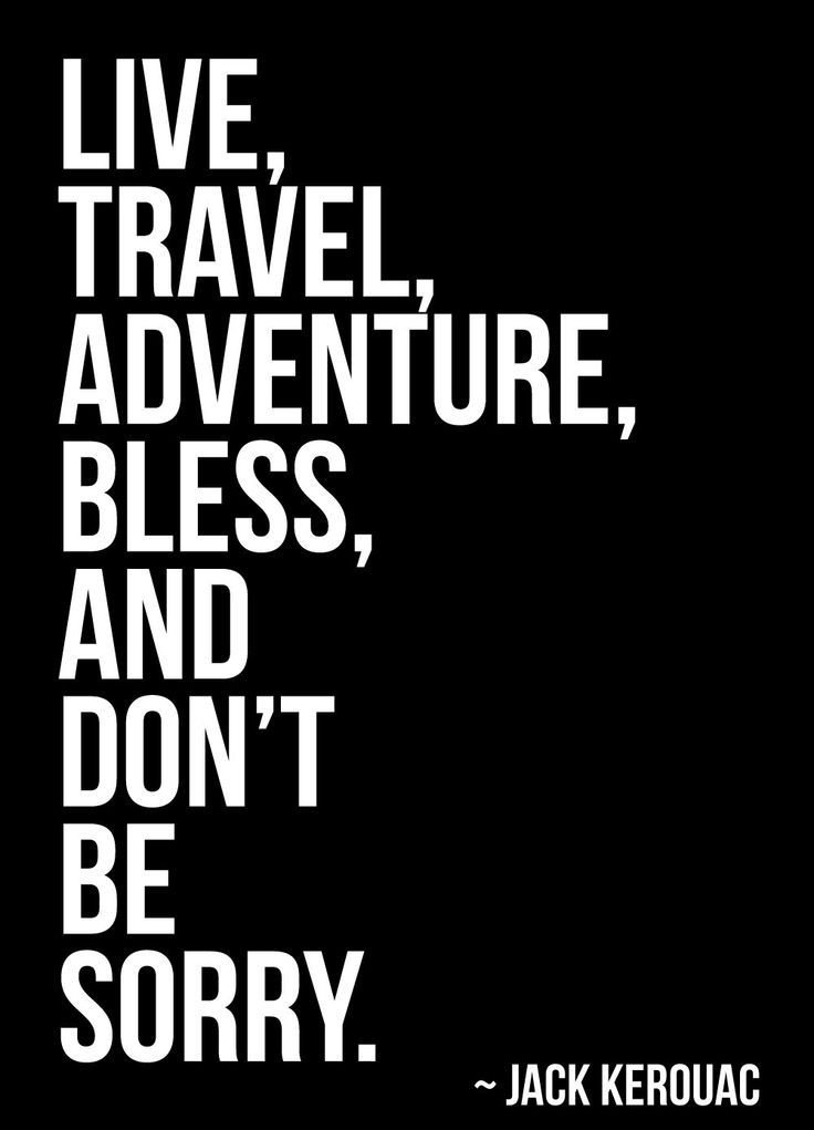 SoftwareLabels's tweet image. “Live, #travel, #adventure, #bless, and don't be sorry.”