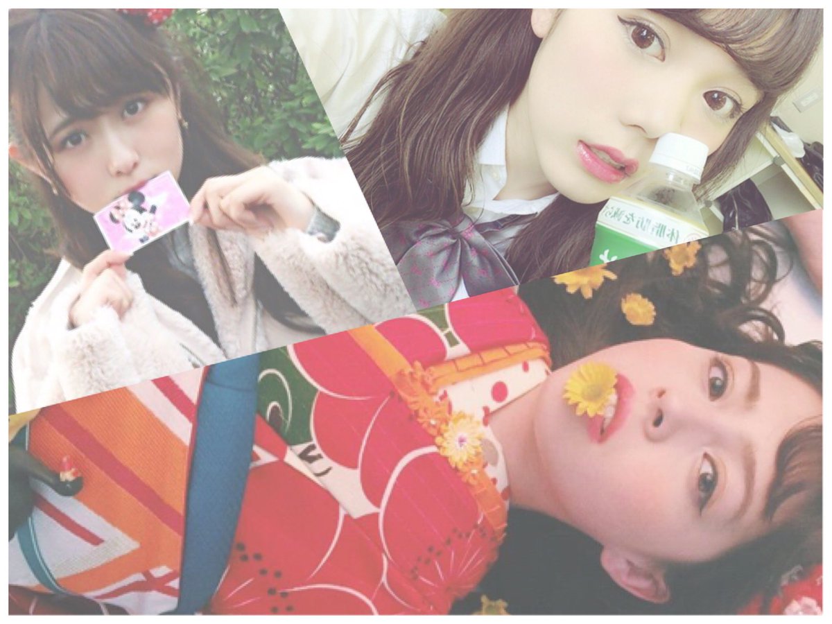 Ulip__'s tweet photo. @Ulip__ 今のが下の子で左上がまつきちゃんで右上がふるふるです https://t.co/KCllSJFRJN
