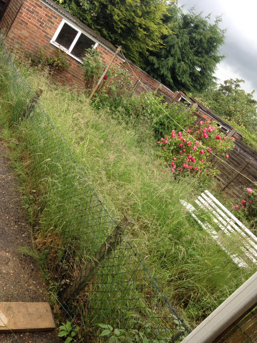 amybrittain13's tweet image. @HarlowCouncil please do something about my neighbours garden!! It&apos;s disgusting having to look at it everyday!!