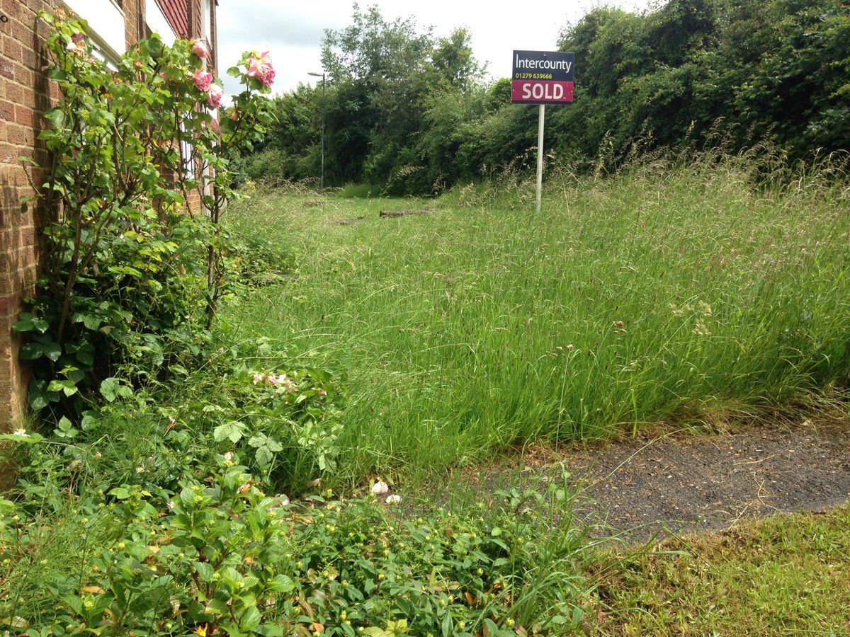 amybrittain13's tweet image. @HarlowCouncil please do something about my neighbours garden!! It&apos;s disgusting having to look at it everyday!!