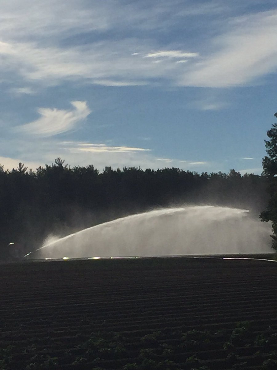 BlizmanProduce's tweet photo. Dirt farming in #Norfolk #canwegetarain #Potato https://t.co/cX9sJEY1Zu