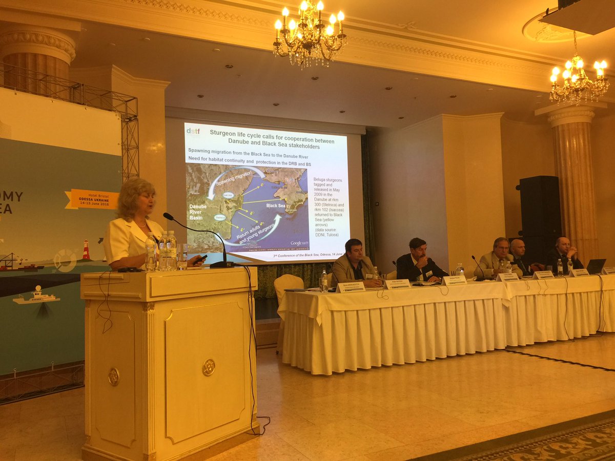 Lorena_FARNET's tweet image. Cum promovam cercetarea marină &amp;amp; cooperarea in #MareaNeagra? Inițiative inovatoare expuse la #BlackSea conference