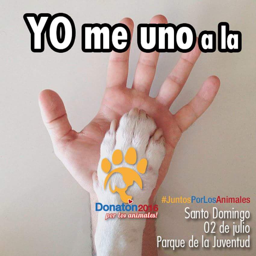 Unámonos todos. Vamos por más en esta donaton 2016 #Ecuadoramalavidaanimal
