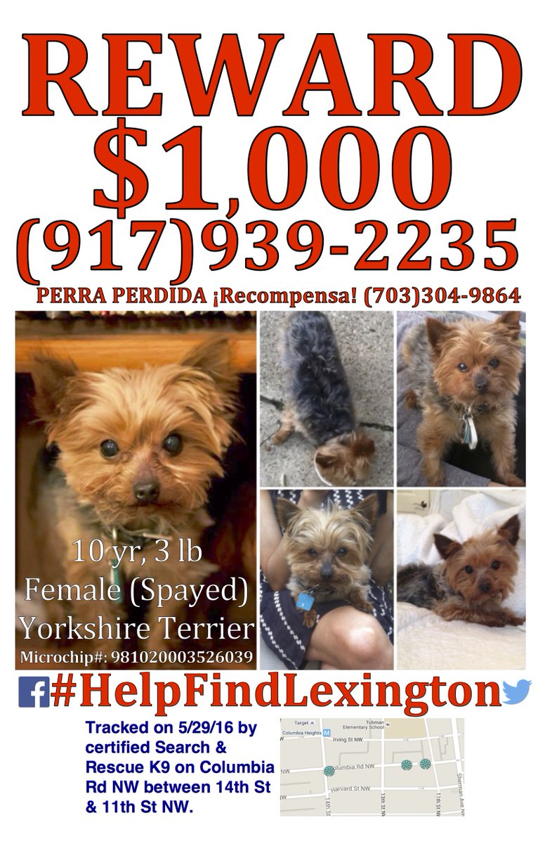 FindLexington's tweet photo. New poster with the reward amount: $1,000. #HelpFindLexington https://t.co/2ebWaxgFFu