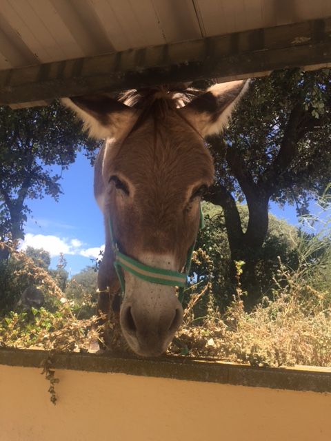 Continuamos el martes pasándonoslo en grande