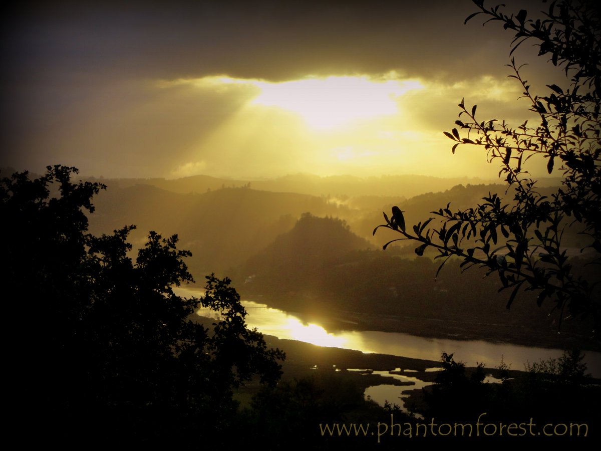 PhantomEco's tweet photo. We live in a beautiful world! @PhantomEco #Knysna #PhantomForest https://t.co/rS2qBSAUEL