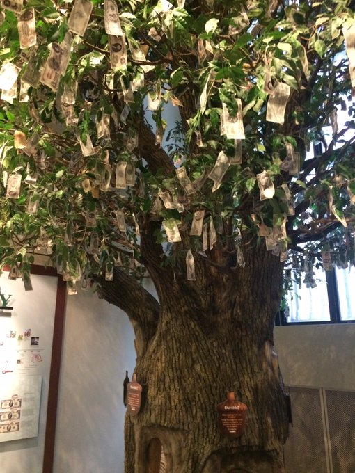 Ver imagen en Twitter Ver imagen en Twitter