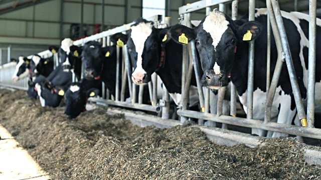 EarthisHeavenly's tweet image. Stuff as much of us as you can down your throat so we can be sure Jachin will see the decaying flesh inside of you.