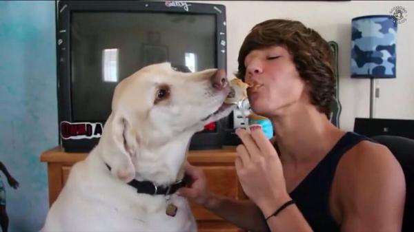 CamUpdatesIT's tweet image. Jake, il cane che ha accompagnato Cameron fin da bambino purtroppo è venuto a mancare qualche giorno fa 😔 #RIPJake