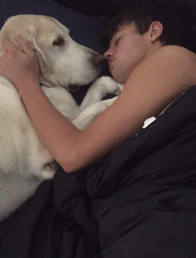 CamUpdatesIT's tweet image. Jake, il cane che ha accompagnato Cameron fin da bambino purtroppo è venuto a mancare qualche giorno fa 😔 #RIPJake