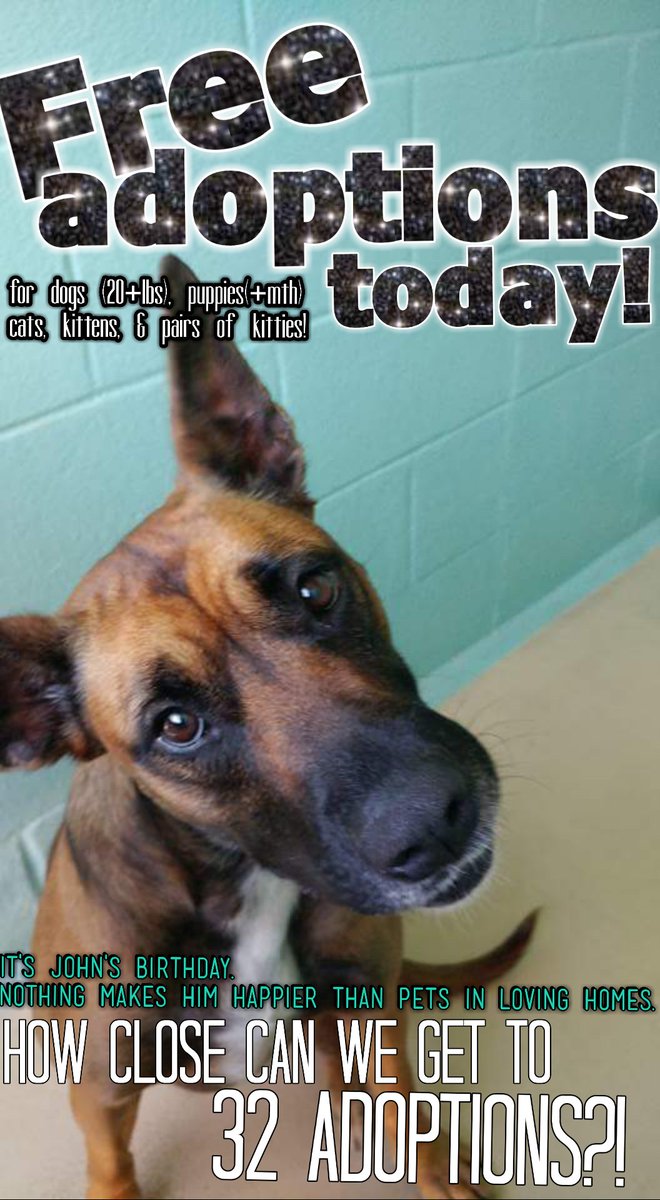 Outer Banks SPCA tweet media