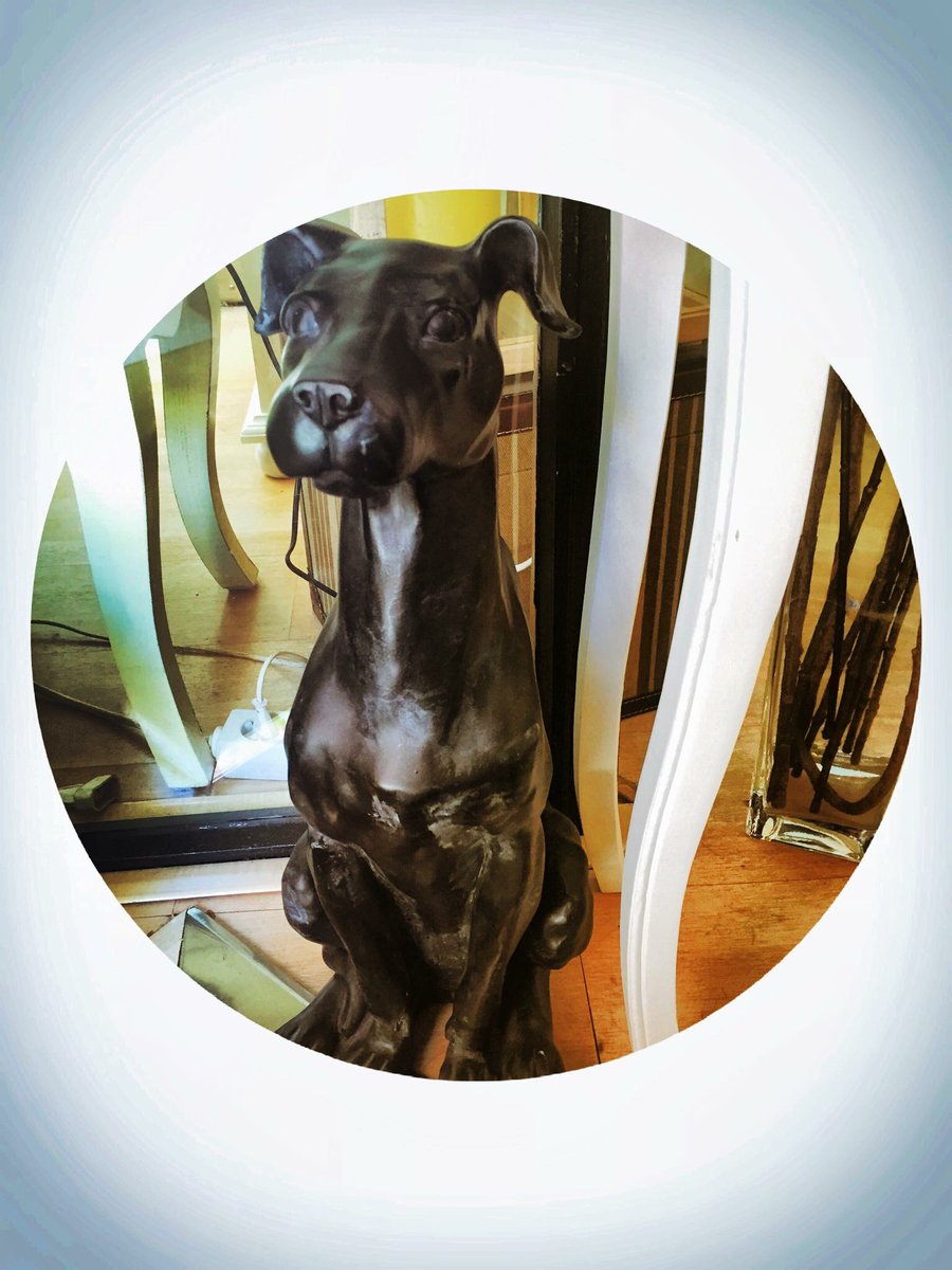 Charles, nuestro perro guardián. #eventos #coctelería #tomandomedidas