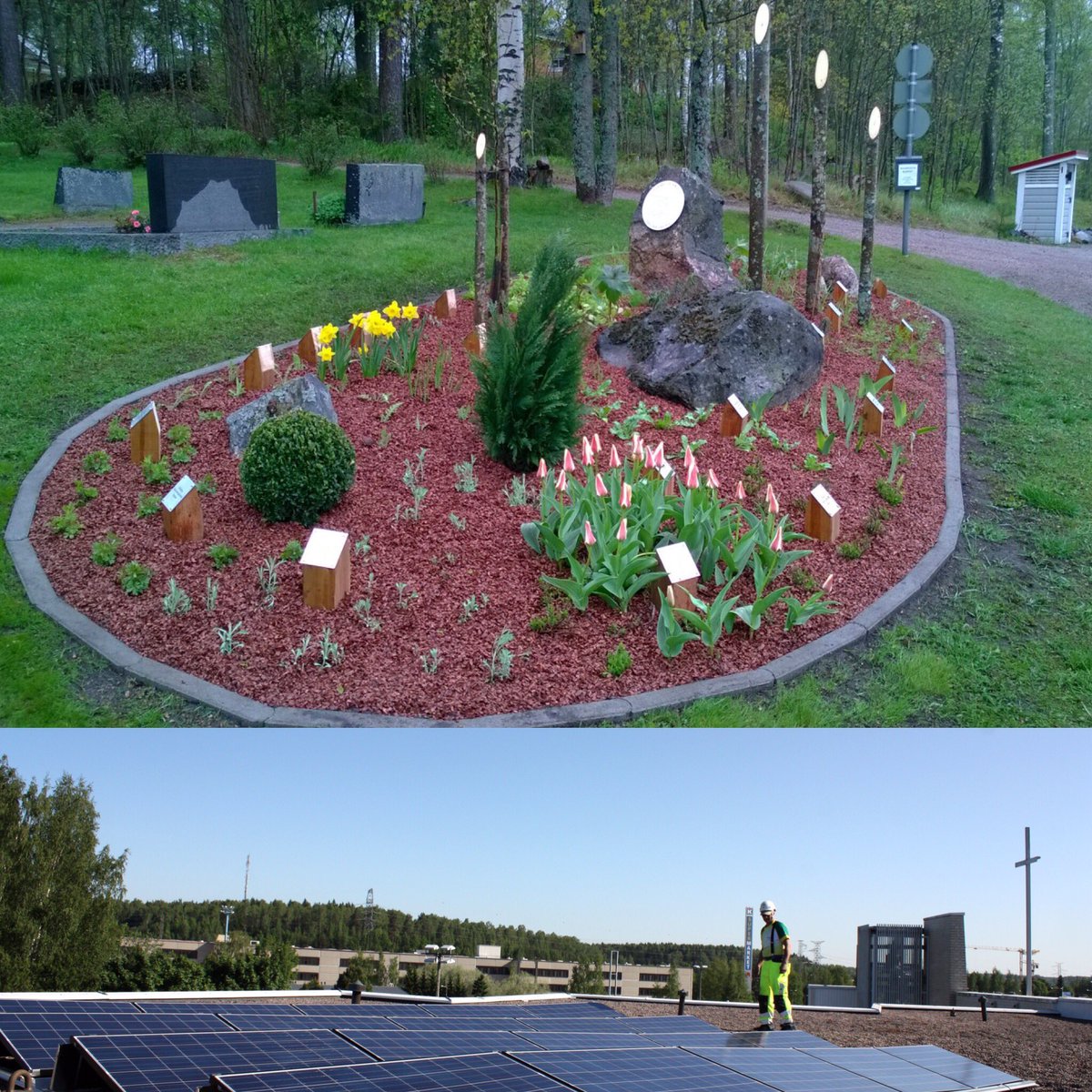 PallaSolarPros's tweet image. RT @ristituuleen Environmental work of @Kirkko_HKIssa @KirkkoVantaalla @Hamiksensrk #ECEN2016 #solarenergy #biblic…