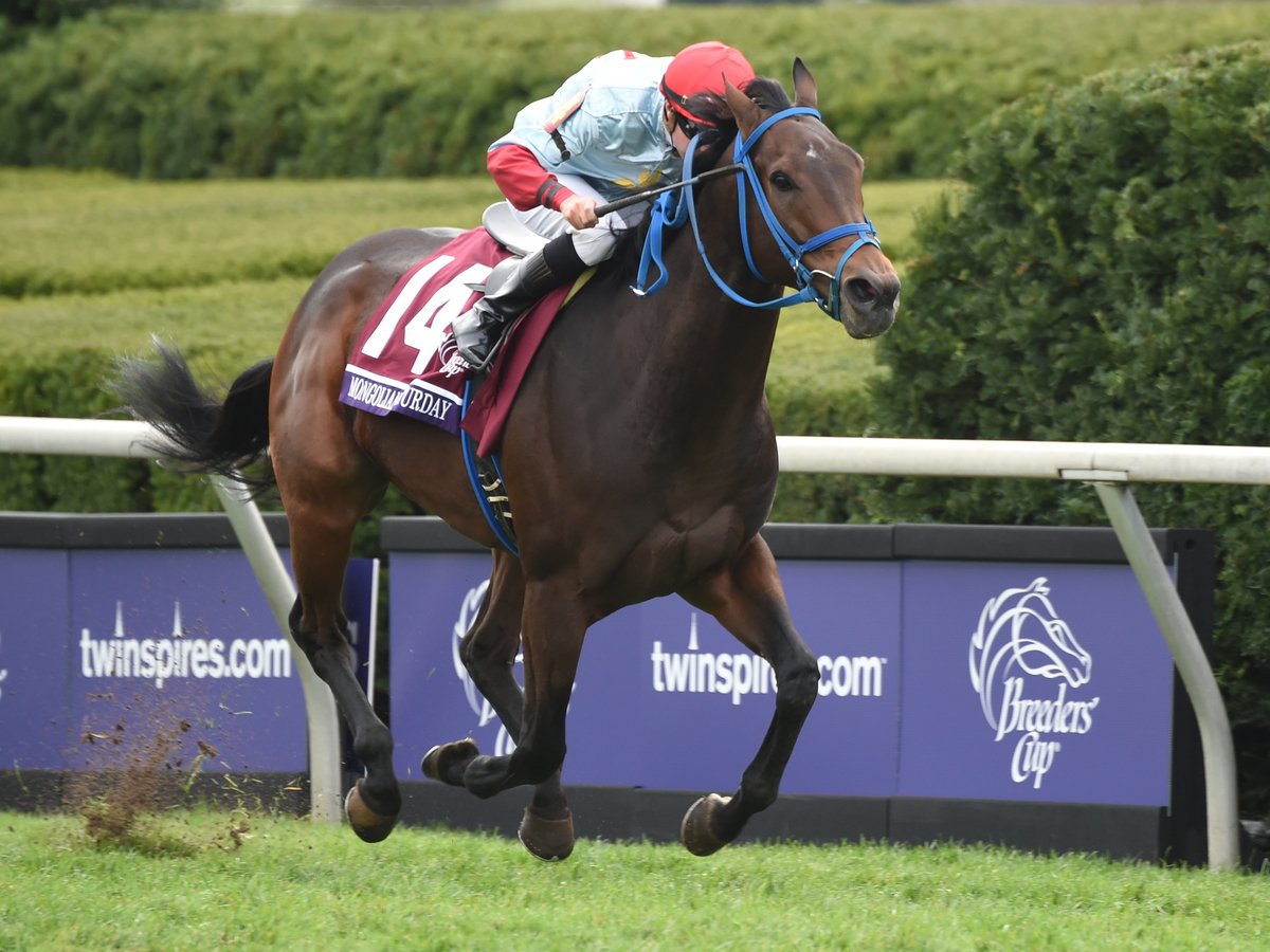 BreedersCup's tweet image. Mongolian Saturday up next @Ascot. Could we make it a #MongolianTuesday?? #RoyalAscot #OnATuesday