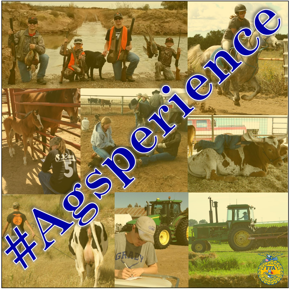 newmexicoffa's tweet photo. We challenge you to post pictures of your Agricultural experience and hashtag it #Agsperience! https://t.co/r7ko3PfZ2S