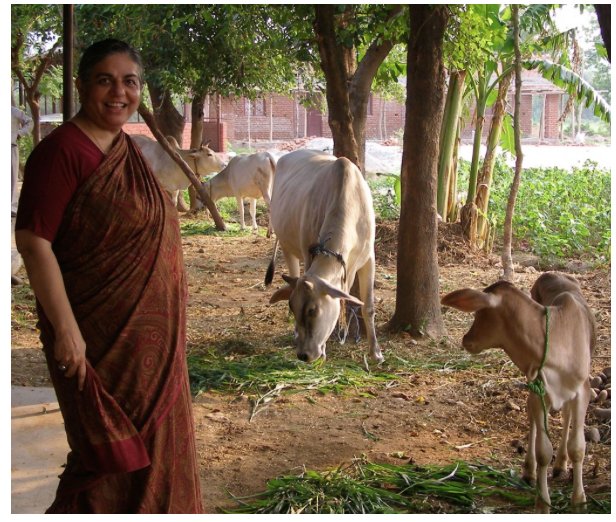 PacificaPost's tweet image. Limitless Growth, the Destructive Myth of our Times: PART TWO. Interiew with @drvandanashiva pacificapost.com/limitless-grow…