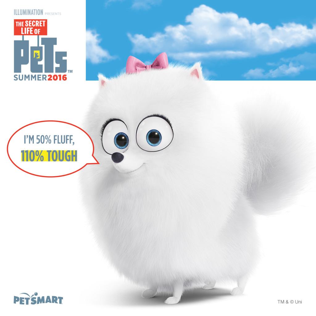PetSmart's tweet photo. ...and don't you forget it! #thesecretlifeofpets @PetsMovie https://t.co/8mDpbNSa9v