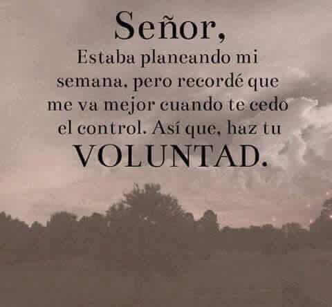 STalamasp's tweet image. ❤️