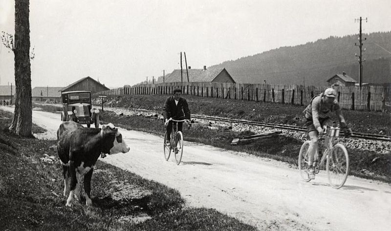 classicretro's tweet photo. Even cows can be amazed ......1926 https://t.co/eRoQLgu0a0