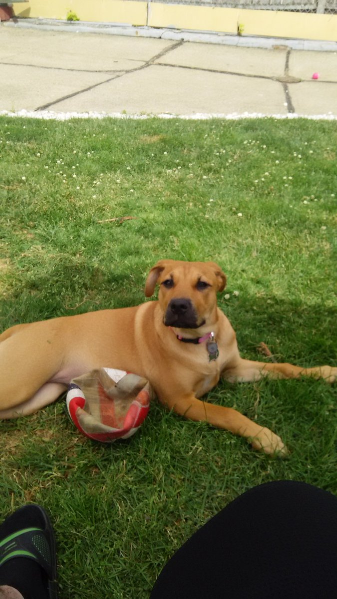 Me and penny enjoying the nice weather!!!