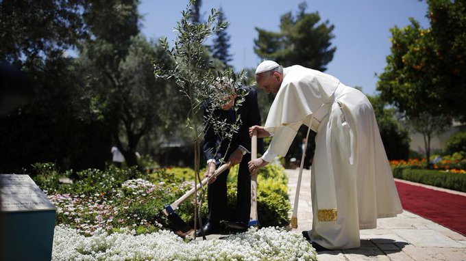 Ver imagen en Twitter Ver imagen en Twitter