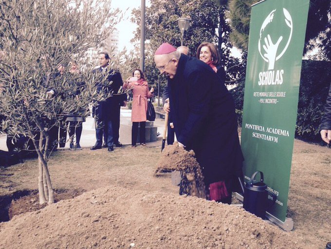 Ver imagen en Twitter Ver imagen en Twitter