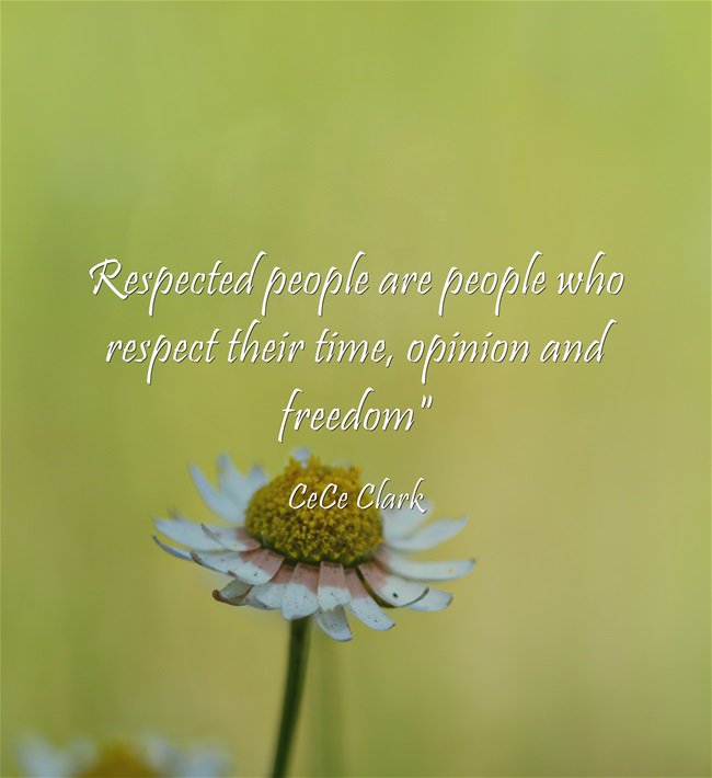 CeCeClarkAuthor's tweet photo. Respect your #time #life &amp; opinion! That's the only way you will be respected!
#CeCeClark #5daystofreedom #SHIFT https://t.co/O8tczpsvBZ