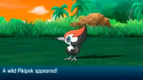 ヒノッチ V Twitter 新ポケモン ツツケラ あのpvで製作画面が出たあの鳥さんか