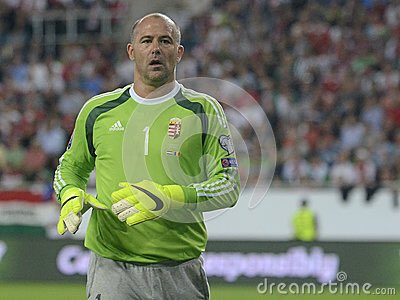 GaryLineker's tweet image. Great save from @alanshearer Hungary&apos;s stand in keeper.