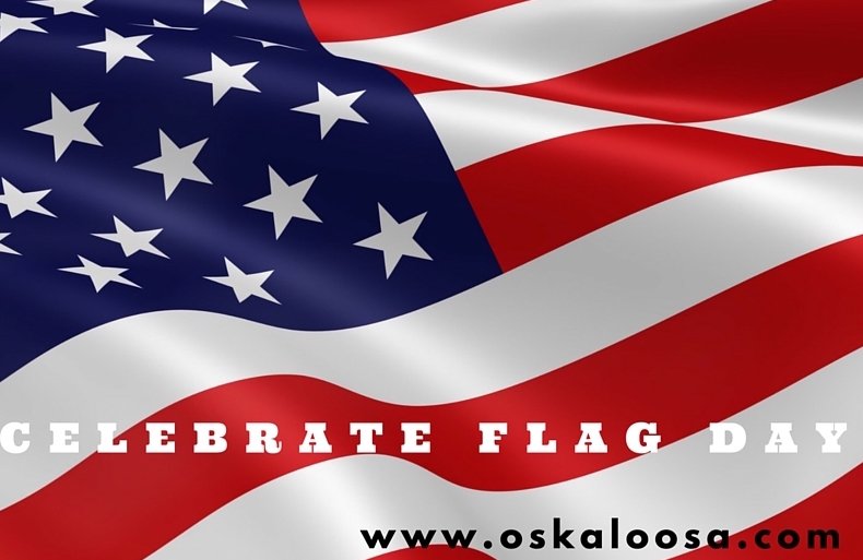americanbisonco's tweet photo. Happy Flag Day, y'all. https://t.co/9BYui2tMbt