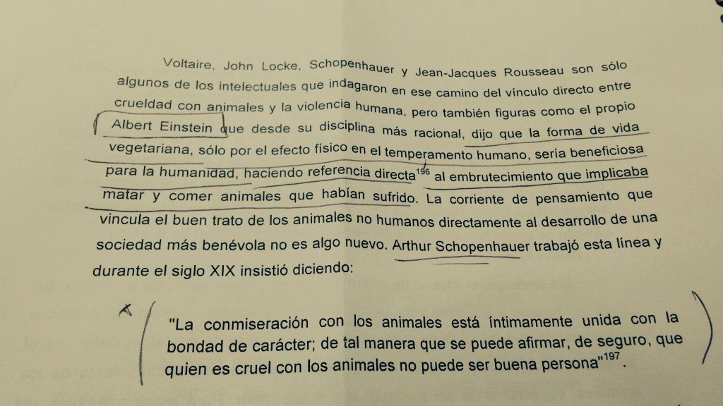 rdiazcastillo's tweet photo. https://t.co/sSJwvlFdFG