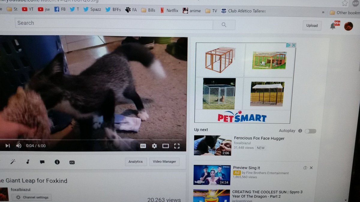 foxalbiazul's tweet image. Perhaps one of the most appropriate ads to show up next to my videos! #pens #smartGoogle