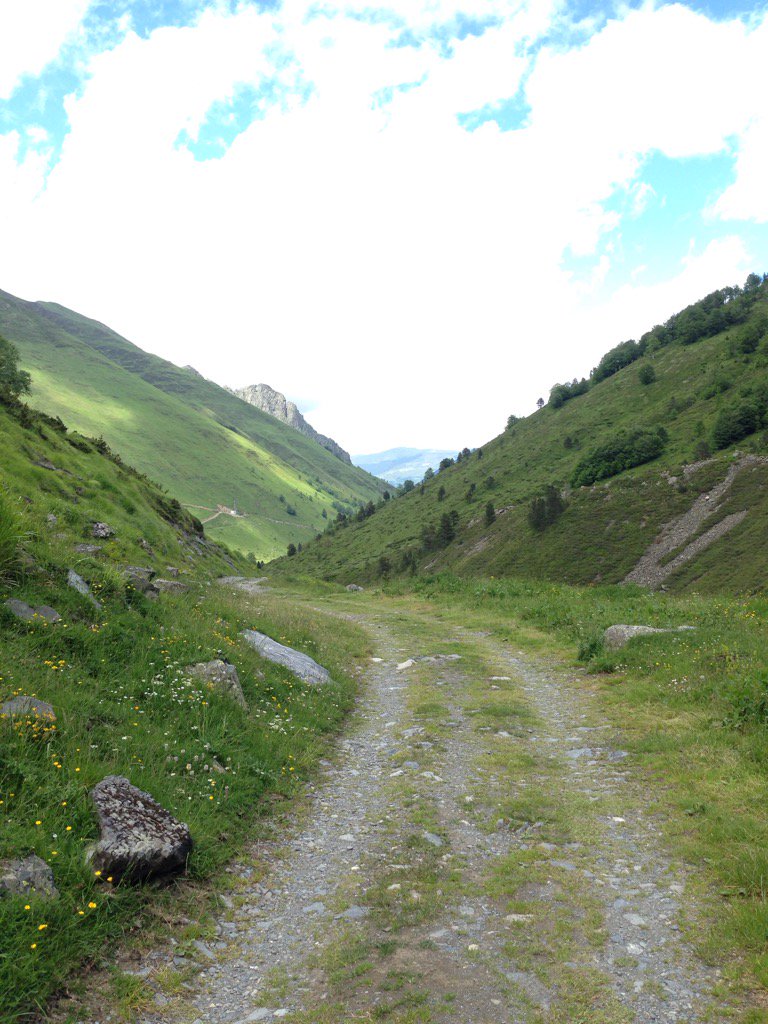 Diane Banks tweet media